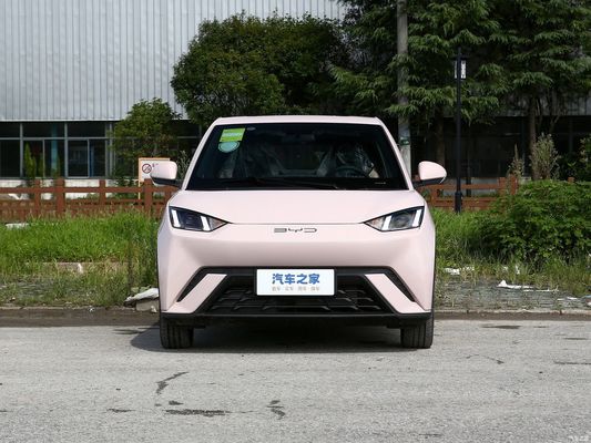 Voiture électrique à hayon Byd Seagull 2023 Fly pour le service après-vente en ligne/local