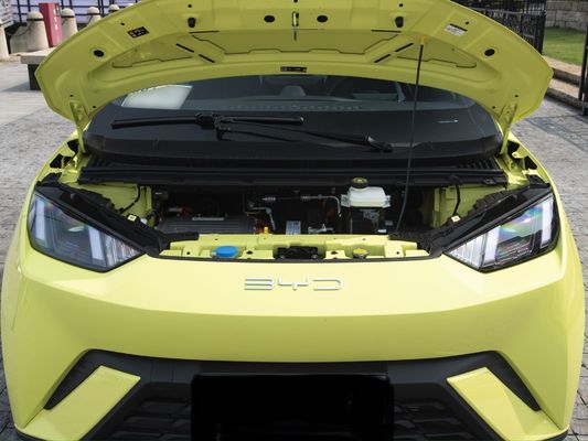 Type de carburant électrique personnalisé 2023 Byd Sea Gull 405 Km Véhicule d'énergie automobile moderne