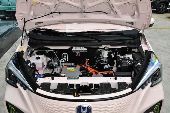 Voiture électrique à carburant de type électrique Changan E-Star Benben Inr