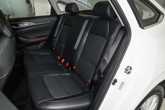 Changan Eado Energy 2022 EV460 édition Lithium fer phosphate LiFePO4 édition de batterie
