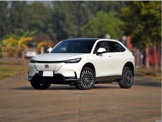 2022 Véhicules à énergie E Ns1 E-Jing Version Haute vitesse et service après-vente en ligne/local