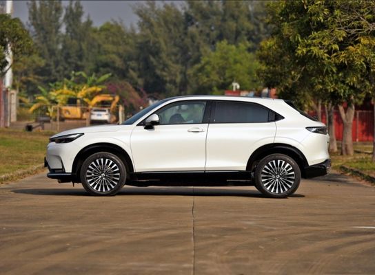 2022 Véhicules à énergie E Ns1 E-Jing Version Haute vitesse et service après-vente en ligne/local