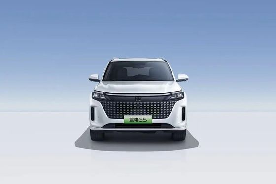 Landian E5 2024 Honor Edition 100km Automatique Luxe 5 places avec service en ligne