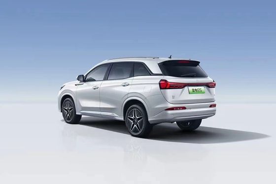 Landian E5 2024 Honor Edition 100km Automatique Luxe 5 places avec service en ligne