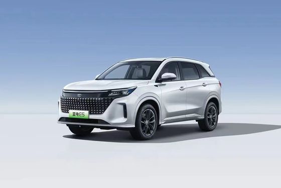 Landian E5 2024 Honor Edition 100km Automatique Luxe 5 places avec service en ligne