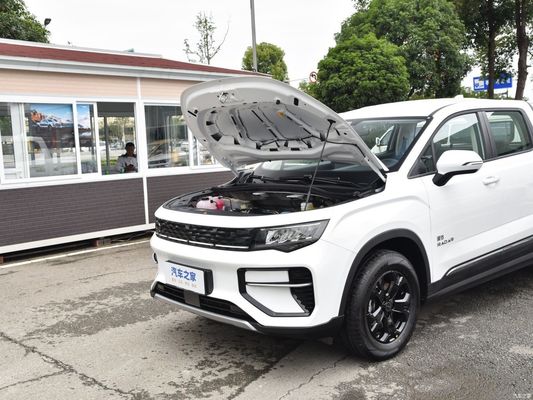 Radar de ramassage de véhicules électriques Rd6 2023 410km Chuangye Service après-vente en ligne