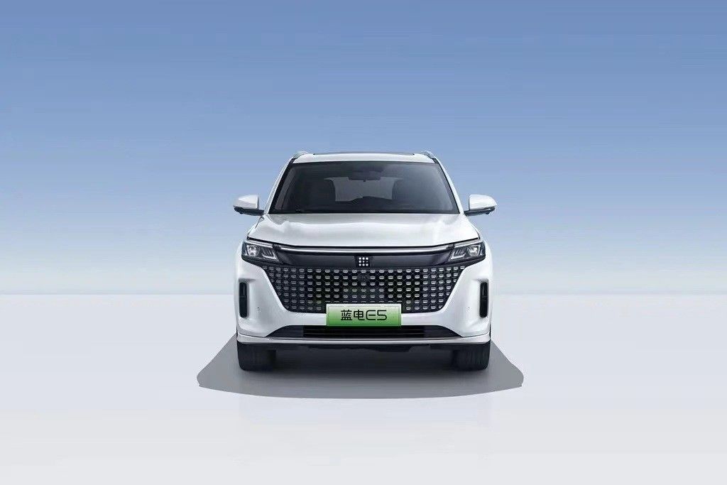 Landian E5 2024 Honor Edition 100km Automatique Luxe 5 places avec service en ligne