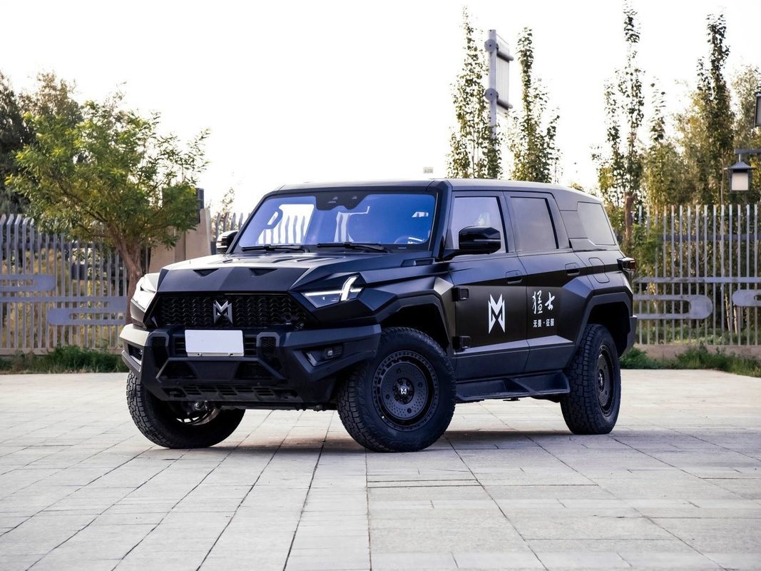 Brave Warrior Noir Couleur de l' énergie voiture avec système de freinage électromagnétique fabriqué