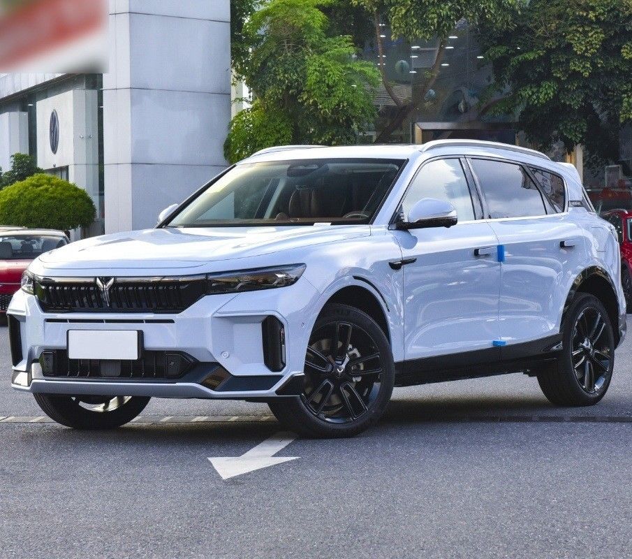 4905x1950x1645 sièges 5 ultra-longues distances énergie SUV électrique voiture en Voyah Free 2024
